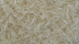 Broken Rice Manufacturer Supplier Wholesale Exporter Importer Buyer Trader Retailer in Chennai Tamil Nadu India